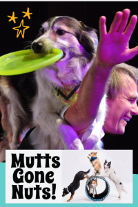 Mutts Gone Nuts!